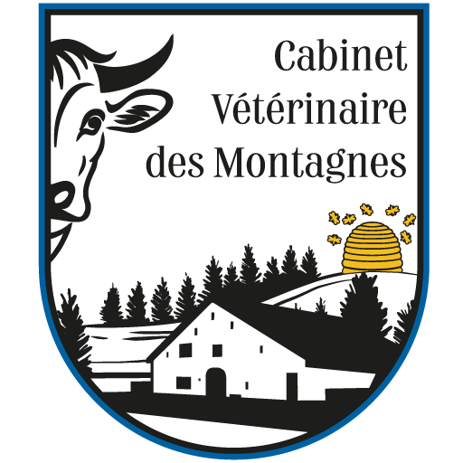 logo-icone-site-512-512